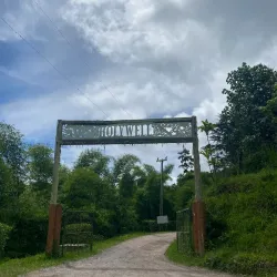 Blue Mountains - Stony Hill