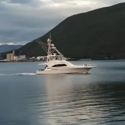 Kingston Harbour - Stony Hill