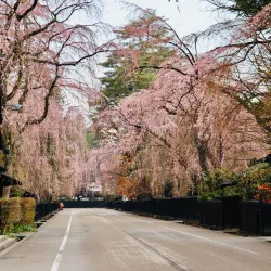 Kakunodate Samurai District - Akita