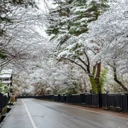 Kakunodate Samurai District - Akita