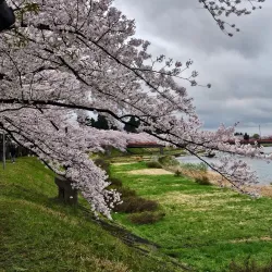 Kakunodate Samurai District - Akita