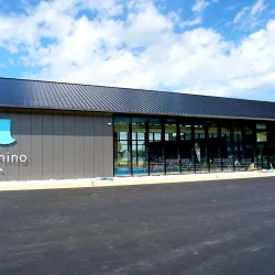 Dolphin Watching Tours - Amakusa