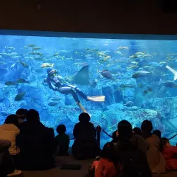 Umitamago Aquarium - Beppu