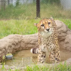 Chiba Zoological Park - Chiba