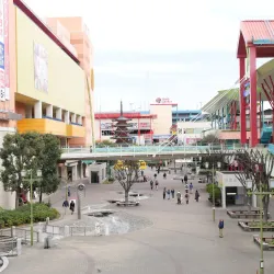 Ebina Central Park - Ebina