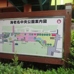 Ebina Central Park - Ebina