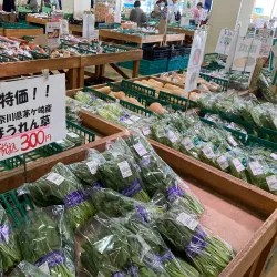 Ebina Farmers Market - Ebina