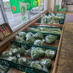 Ebina Greenery Center - Ebina