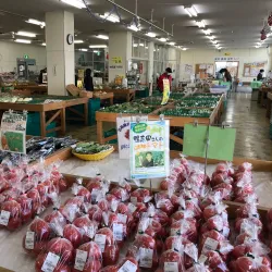 Ebina Greenery Center - Ebina