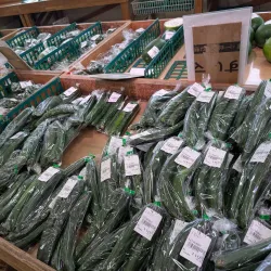 Ebina Greenery Center - Ebina