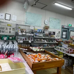 Ebina Greenery Center - Ebina