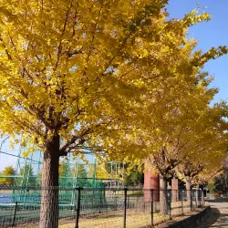 Ebina Sports Park - Ebina