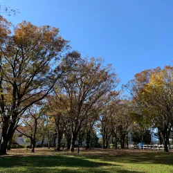 Ebina Sports Park - Ebina