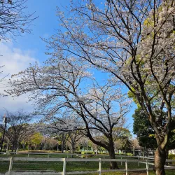 Ebina Sports Park - Ebina