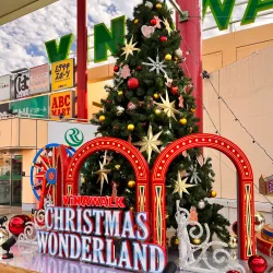 ViNAWALK Ebina - Ebina