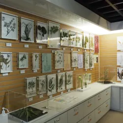 Fukui City Museum of Natural History - Fukui