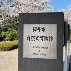 Fukui City Museum of Natural History - Fukui