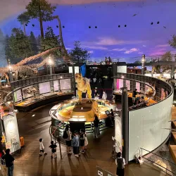 Fukui Prefectural Dinosaur Museum - Fukui