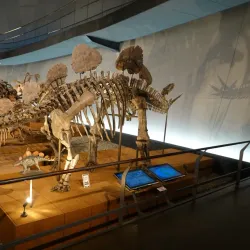 Fukui Prefectural Dinosaur Museum - Fukui