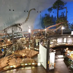 Fukui Prefectural Dinosaur Museum - Fukui