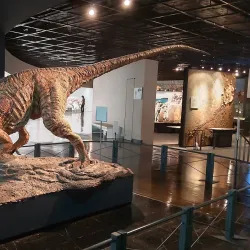 Fukui Prefectural Dinosaur Museum - Fukui