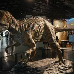 Fukui Prefectural Dinosaur Museum - Fukui