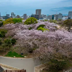 Fukuoka Castle Ruins (Maizuru Park) - Fukuoka