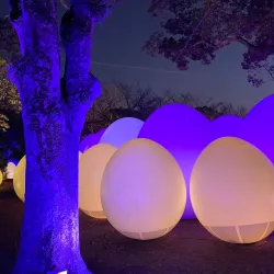 Fukuoka Castle Ruins (Maizuru Park) - Fukuoka