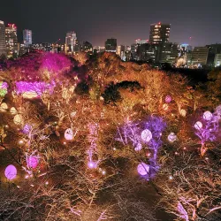 Fukuoka Castle Ruins (Maizuru Park) - Fukuoka
