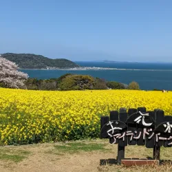 Nokonoshima Island Park - Fukuoka