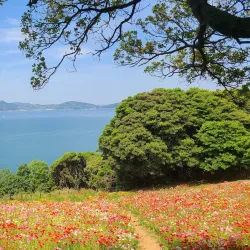 Nokonoshima Island Park - Fukuoka