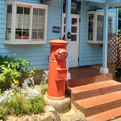Nokonoshima Island Park - Fukuoka