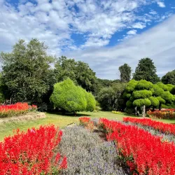 Nokonoshima Island Park - Fukuoka