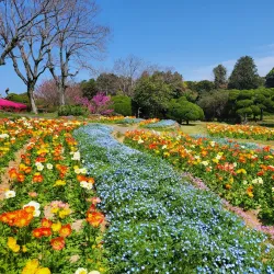 Nokonoshima Island Park - Fukuoka