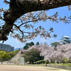 Ohori Park - Fukuoka