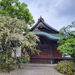 Tochoji Temple - Fukuoka