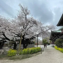Tochoji Temple - Fukuoka