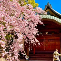 Tochoji Temple - Fukuoka
