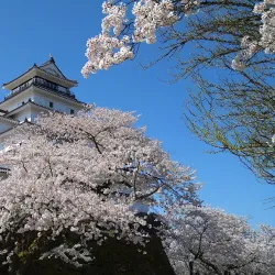 Aizu-Wakamatsu Castle (Tsuruga Castle) - Fukushima