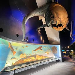 Aquamarine Fukushima - Fukushima