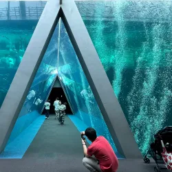 Aquamarine Fukushima - Fukushima