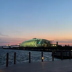 Aquamarine Fukushima - Fukushima