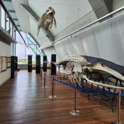 Aquamarine Fukushima - Fukushima