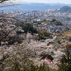 Hanamiyama Park - Fukushima