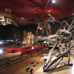 Iwaki Coal and Fossil Museum - Fukushima