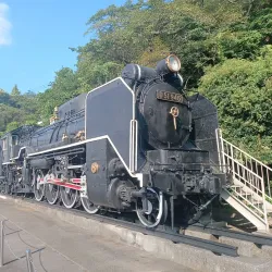 Iwaki Coal and Fossil Museum - Fukushima
