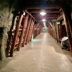 Iwaki Coal and Fossil Museum - Fukushima