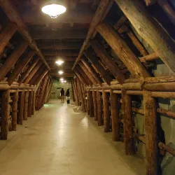 Iwaki Coal and Fossil Museum - Fukushima