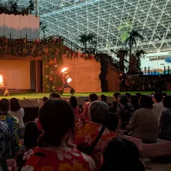 Spa Resort Hawaiians - Fukushima