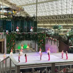 Spa Resort Hawaiians - Fukushima